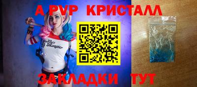 альфа пвп Новодвинск