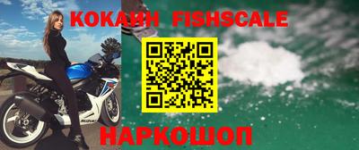 амф Новозыбков