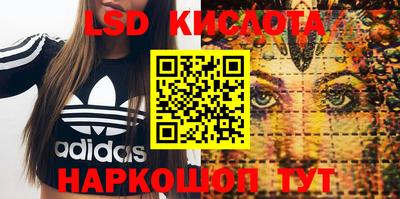 амф Новозыбков
