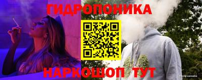 амф Новозыбков