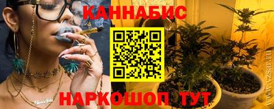 амф Новозыбков