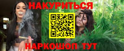 альфа пвп Новодвинск