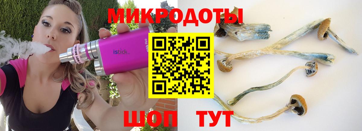 Псилоцибиновые грибы мухоморы  Вход с VPN  купить   Псилоцибиновые грибы Cubensis  Сертолово 