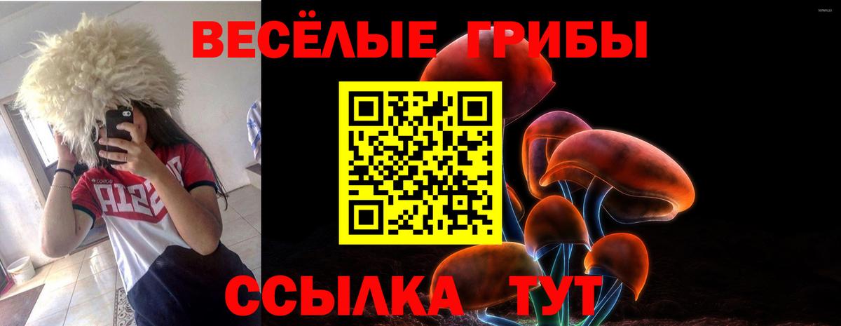 Псилоцибиновые грибы прущие грибы Сертолово