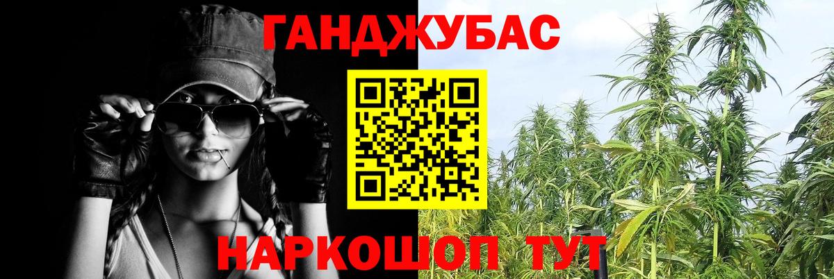 Конопля сатива Сертолово